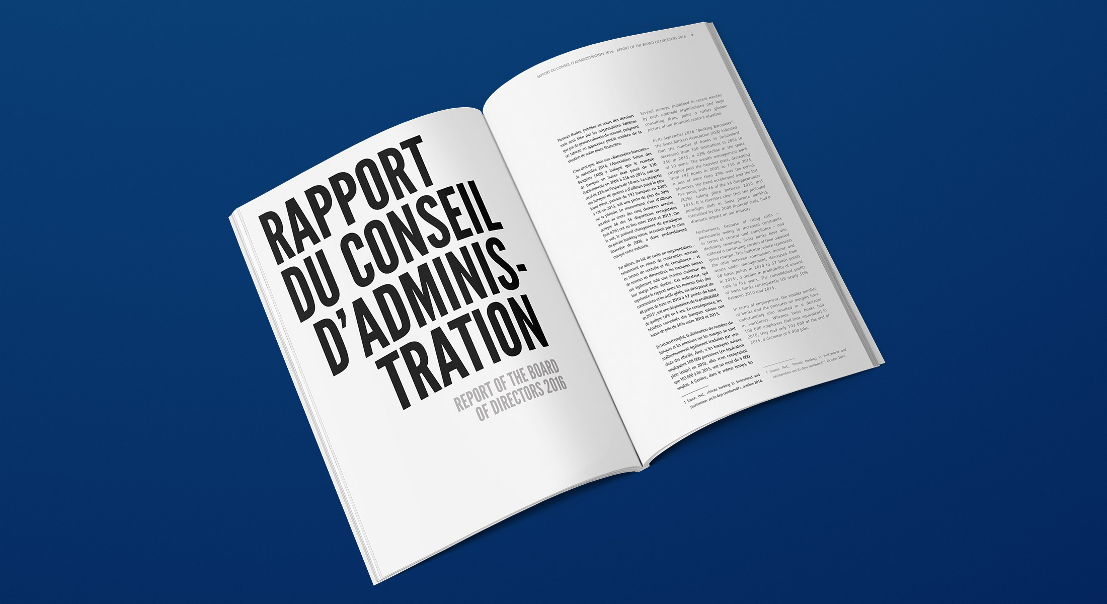 PolarGraphic - SYZ - rapport annuel